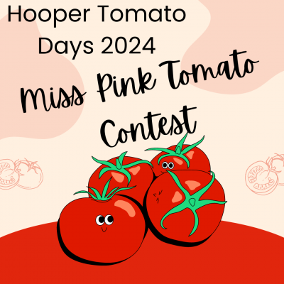 miss pink tomato